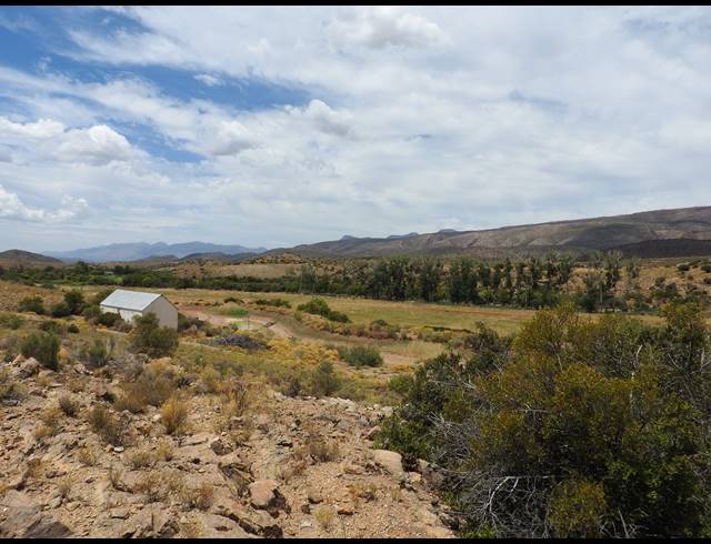 390HA FARM FOR SALE IN PRINCE ALBERT RURAL